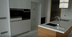 Skypark @ Somerset (D9), Apartment #272147061